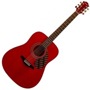 Акустическая гитара Hohner HW 220-TWR